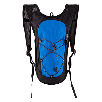 PALMER sports backpack,  blue